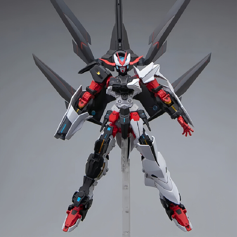 Beast Tiger HG Astray No Name  - Model Kit Non Gundam recensione e prezzo