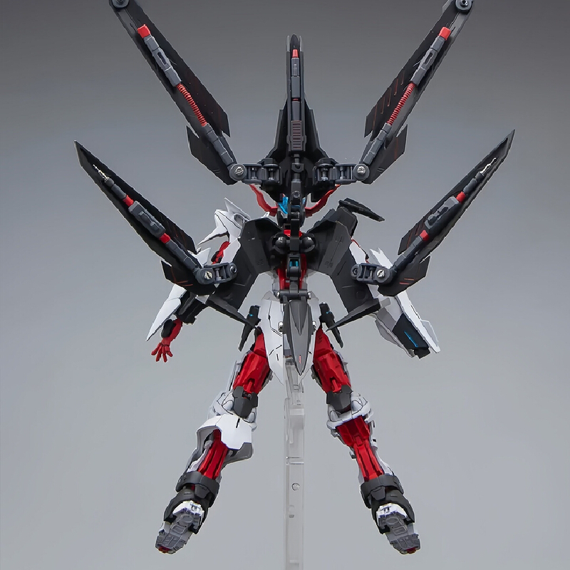 Beast Tiger HG Astray No Name  - Model Kit Non Gundam recensione e prezzo
