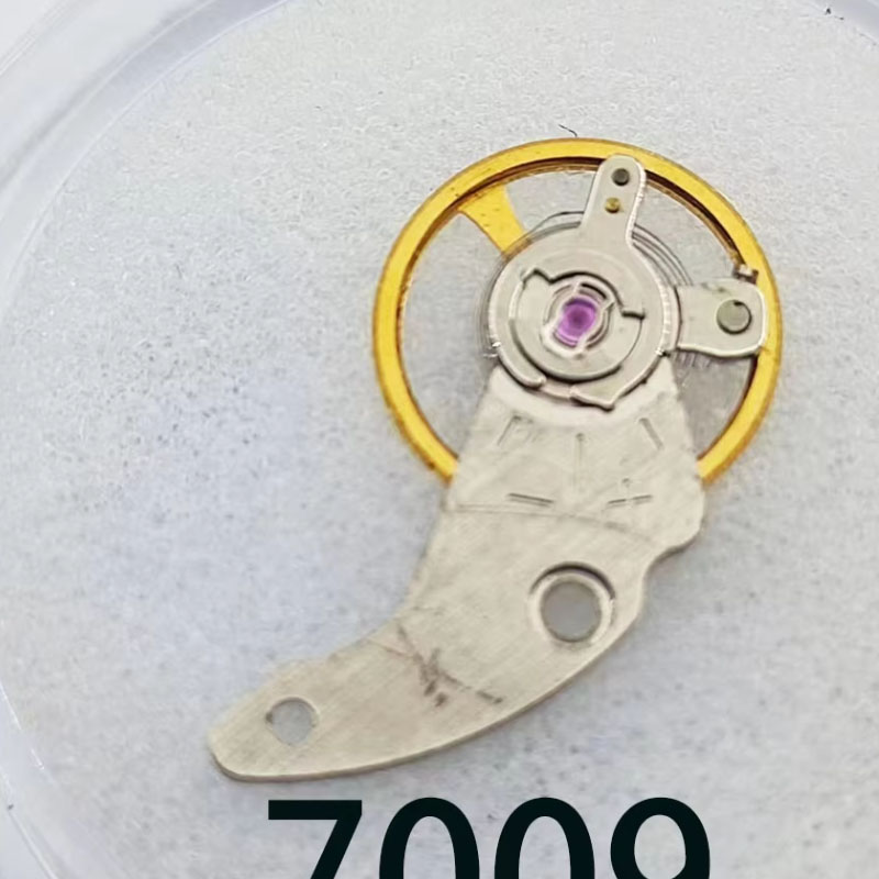 2525252Accessori per orologi 7 - Model Kit Perfect Grade recensione e prezzo