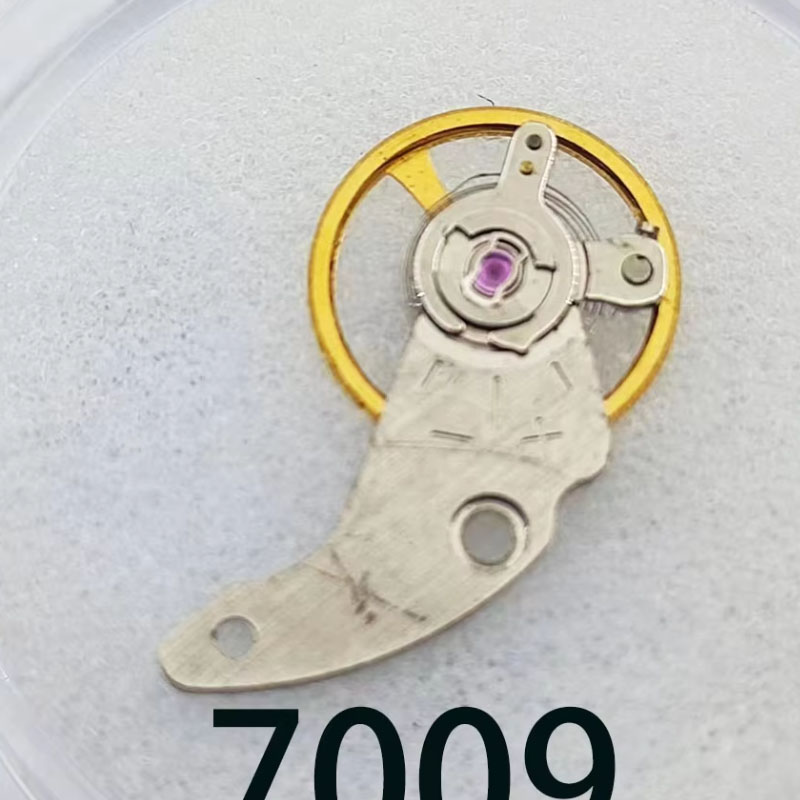 2525252Accessori per orologi 7 - Model Kit Perfect Grade recensione e prezzo